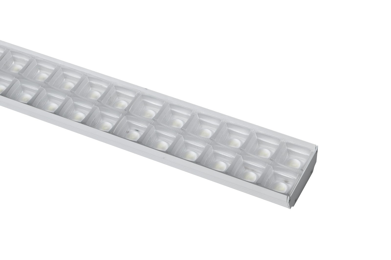 LumShield D