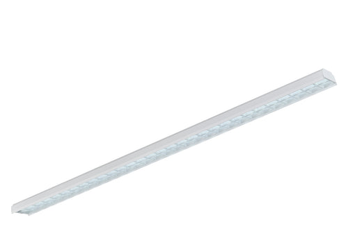 LumShield D